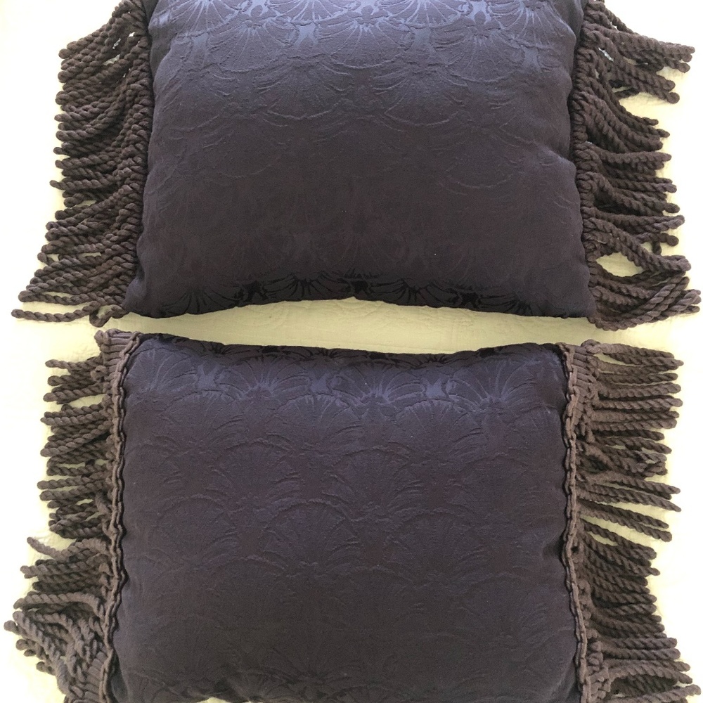 Beautifully designed Eggplant tassel pillows